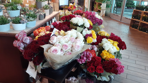 Grocery Store «The Fresh Market», reviews and photos, 1800 West Ave, Miami Beach, FL 33139, USA