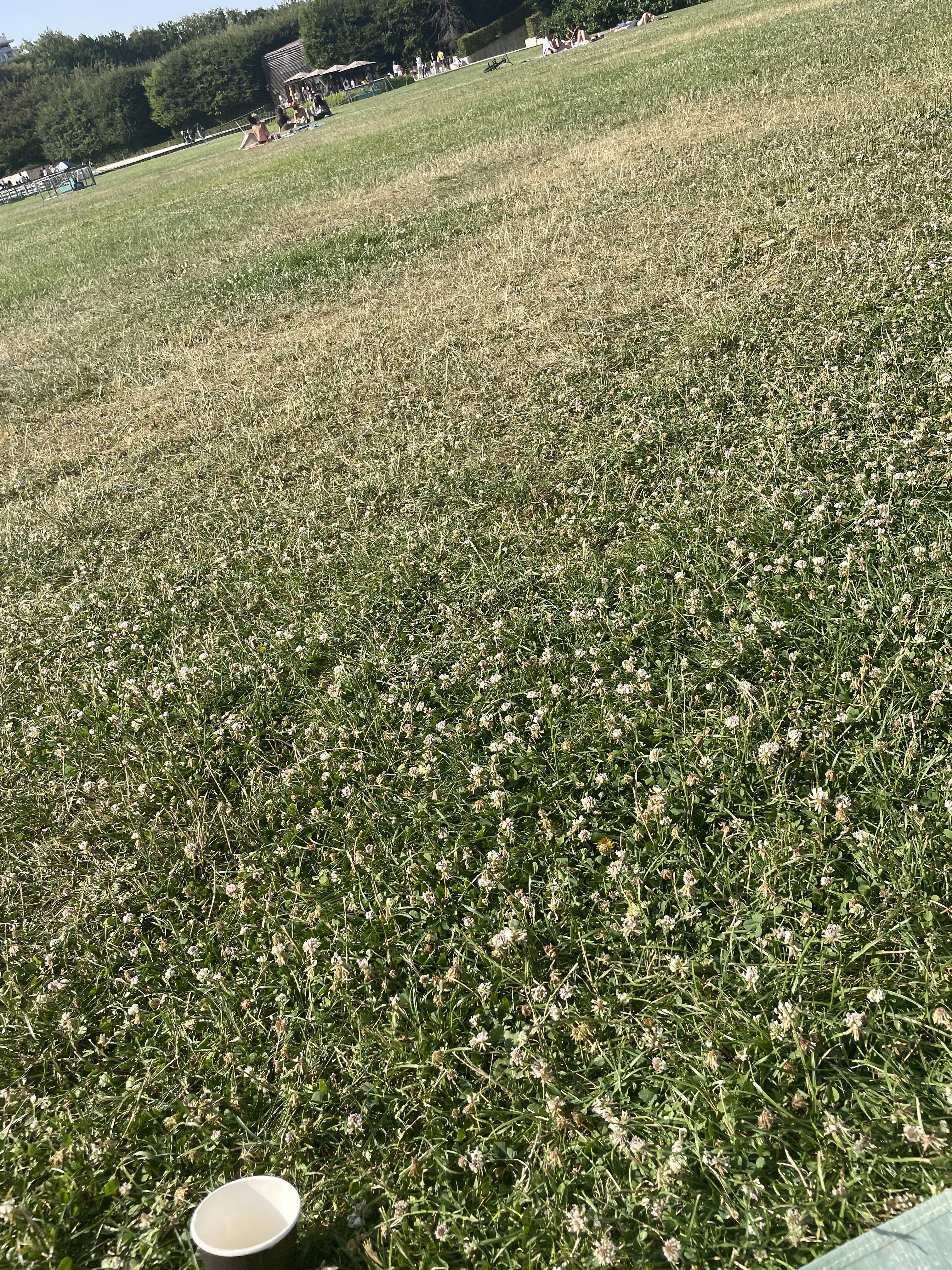 Photo n° 1 de l'avis de Evvy.y fait le 18/07/2022 à 17:38