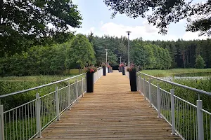Walking path around the lakes image
