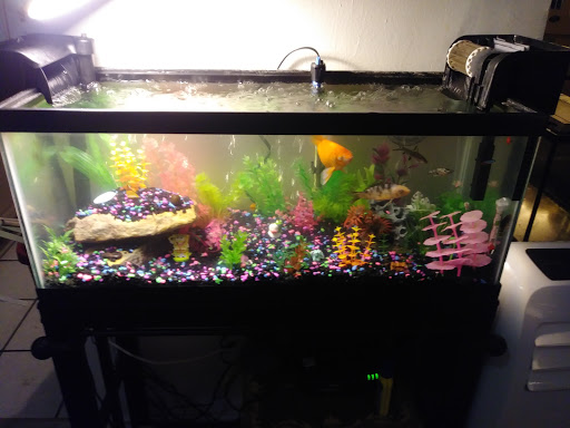 Pet Supply Store «PetSmart», reviews and photos, 2391 NJ-66, Ocean Township, NJ 07712, USA