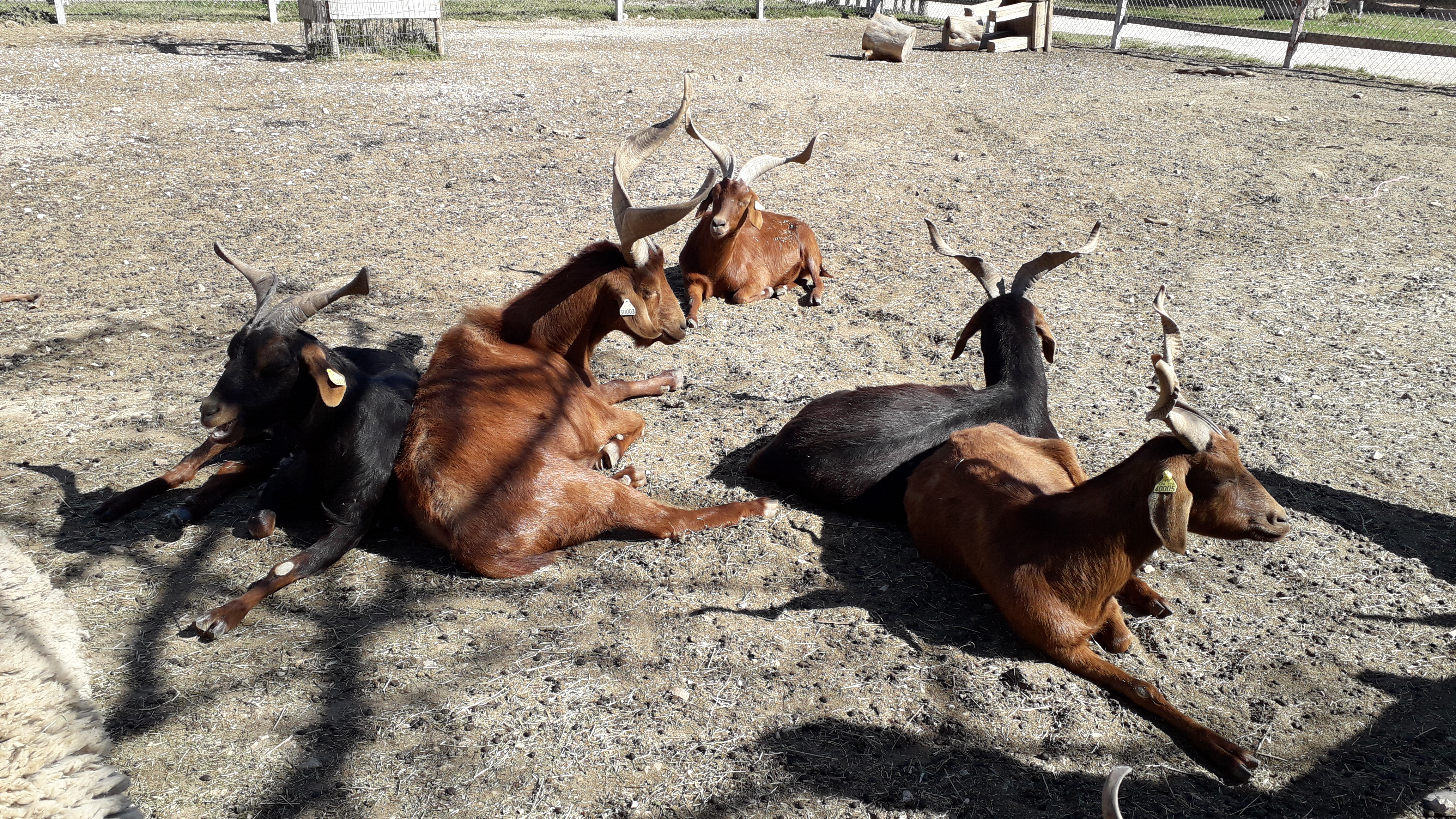 Photo n° 2 de l'avis de Linda.U fait le 23/03/2019 à 14:07