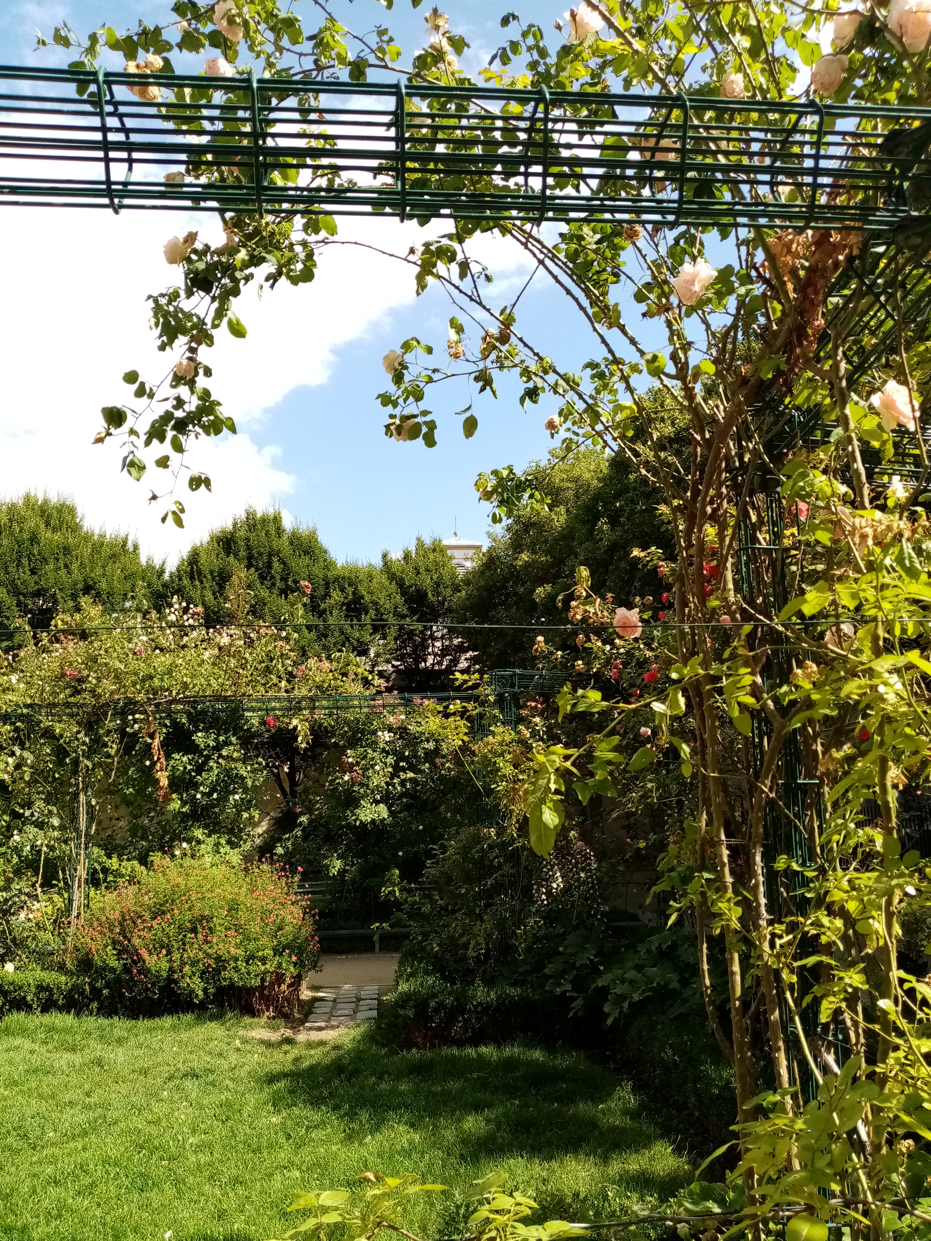 Photo n° 7 de l'avis de Sylvie.a fait le 21/06/2022 à 05:15