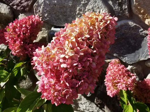 Resort «Bristol Harbour Lodge & Golf Club», reviews and photos, 5410 Seneca Point Rd, Canandaigua, NY 14424, USA