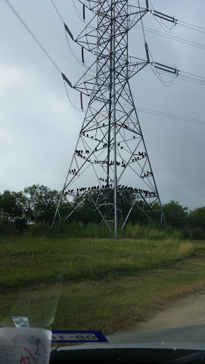 Tourist Attraction «Calaveras Lake Entrance», reviews and photos, 12965 Bernhardt Rd, San Antonio, TX 78263, USA