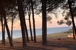 Gelibolu Milli Parkı Kabatepe Dinlenme Merkezi image