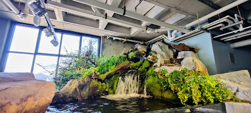 Wedding Planner «Sensational Events», reviews and photos, 4967 E Roy Rogers Rd, Cave Creek, AZ 85331, USA