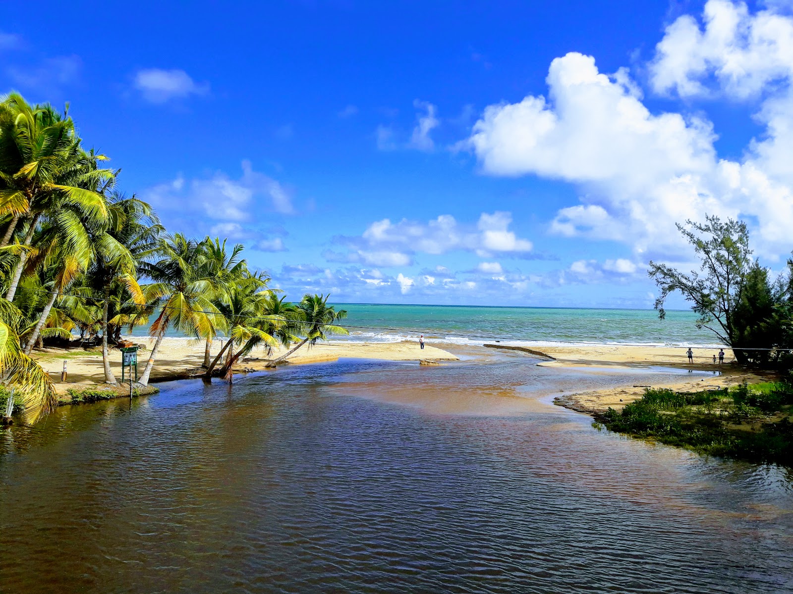 Φωτογραφία του Playa Rio Grande με μακρά ευθεία ακτή