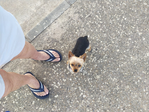 Clínica Veterinaria Gespiber en Olivenza