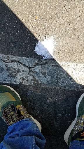 Supermarket «FoodMaxx Visalia», reviews and photos, 1550 N Ben Maddox Way, Visalia, CA 93292, USA