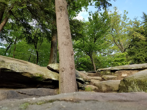 Vista Point «Ledges Overlook», reviews and photos, 405 Truxell Rd, Peninsula, OH 44264, USA