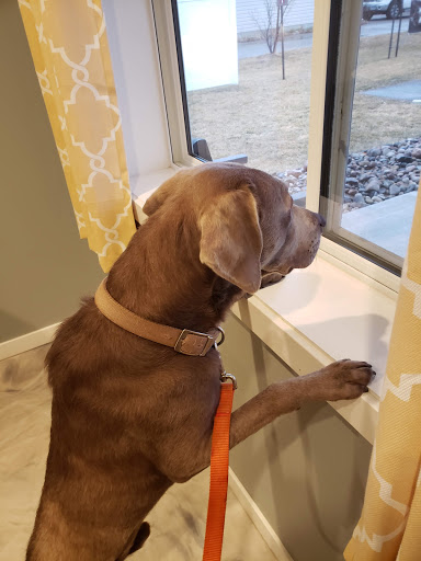 Lester Prairie Vet Clinic image