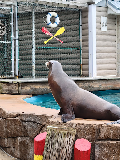 Zoo «Oceans of Fun», reviews and photos, 10001 W Bluemound Rd, Milwaukee, WI 53226, USA