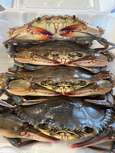 Seafood Market «Bonney & Sons Seafood And Produce», reviews and photos, 1973 Indian River Rd, Virginia Beach, VA 23456, USA