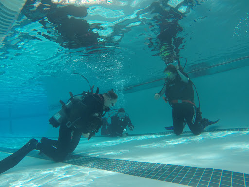 Dive Shop «Orbit Marine Sports Center Inc», reviews and photos, 3273 Fairfield Ave, Bridgeport, CT 06605, USA