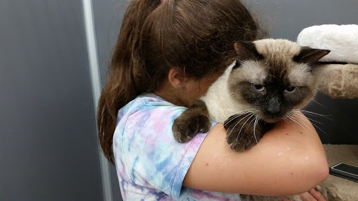 Pet Supply Store «Pet Supplies Plus», reviews and photos, 345 Willow Bend, Crystal, MN 55428, USA