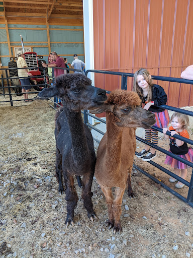 Farm «Buford Corn Maze.», reviews and photos, 4470 Bennett Rd, Buford, GA 30519, USA