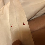 Photo n°2 de l'avis de Mingyang.h fait le 02/06/2023 à 12:06 sur le  Albergo Gino à Ancona