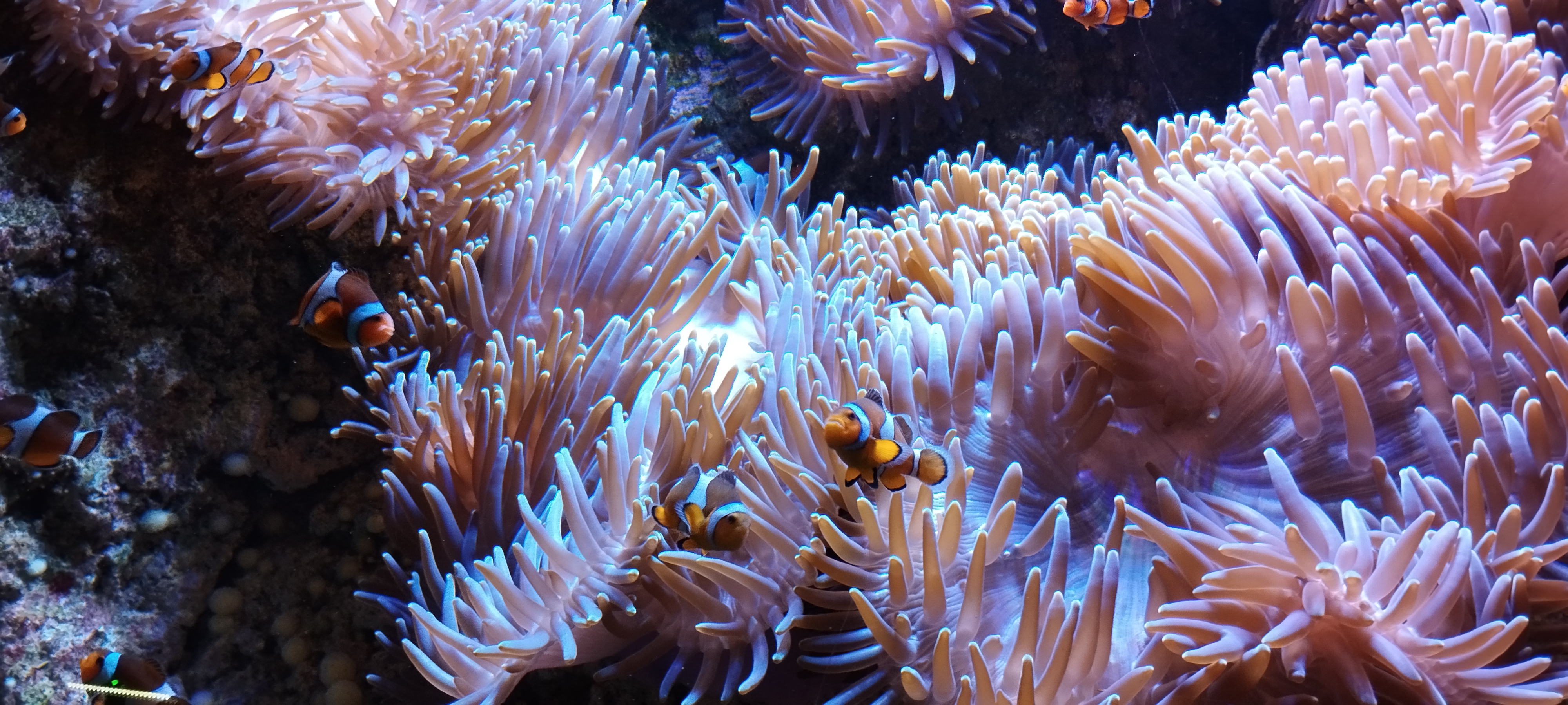 Photo n° 1 de l'avis de Océane. fait le 02/09/2023 à 15:27