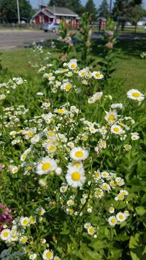 Park «Coloma Township Park District», reviews and photos, 510 E 11th St, Rock Falls, IL 61071, USA