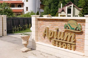 Apium Resort image