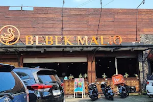 Bebek Malio image