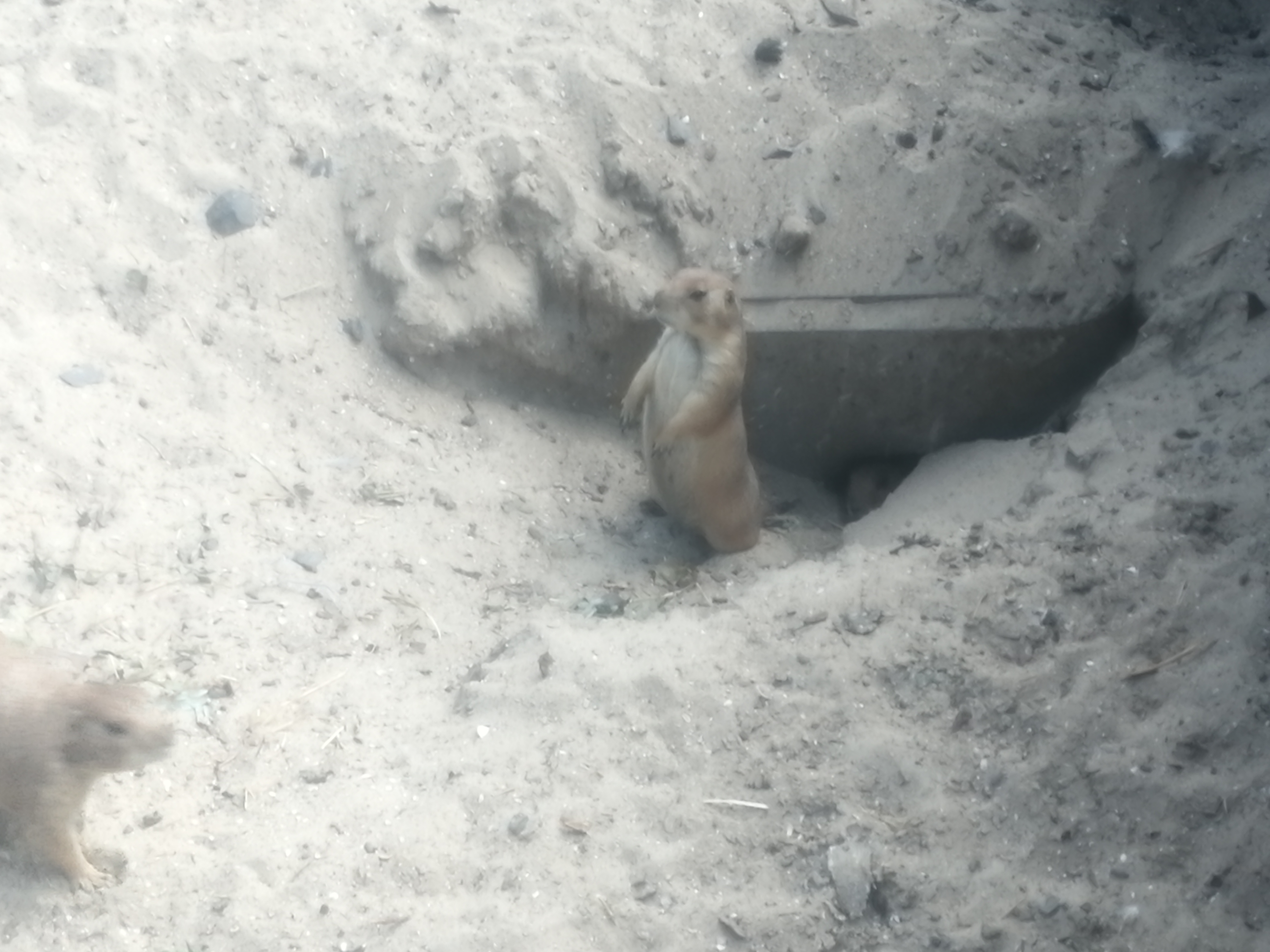 Photo n° 19 de l'avis de Paul.o fait le 08/08/2020 à 16:49