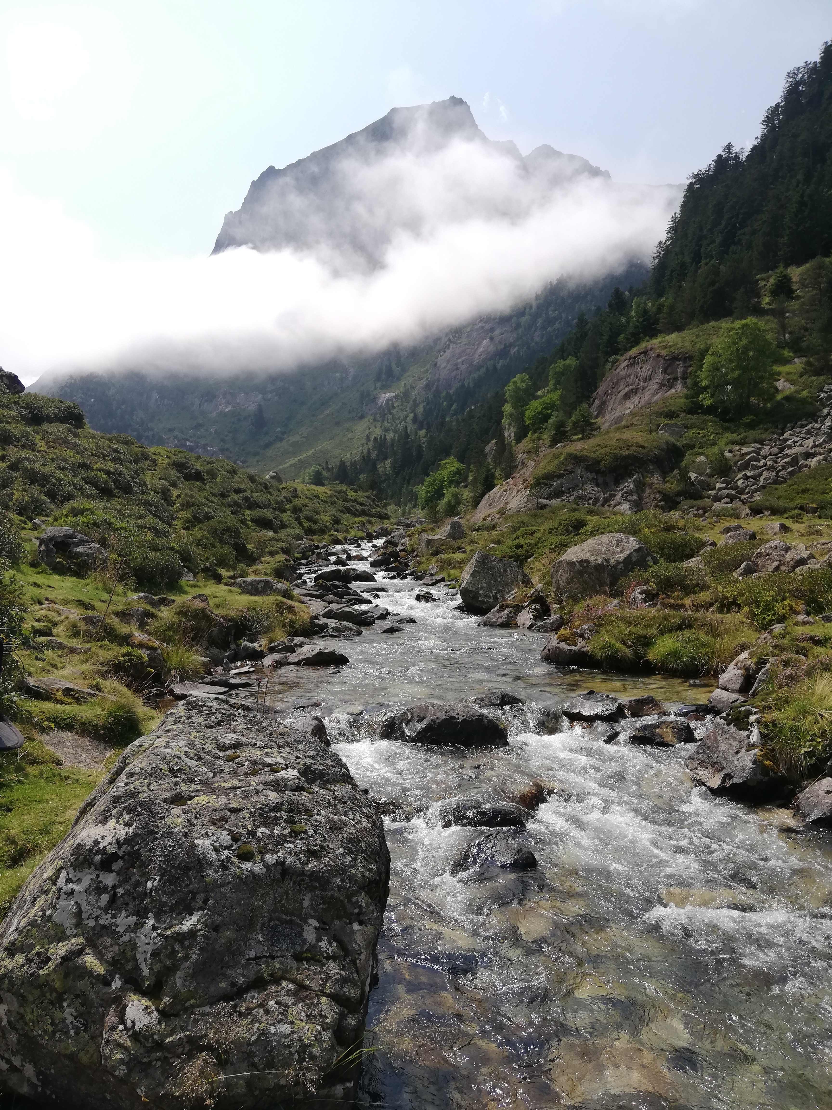 Photo n° 4 de l'avis de floch.a fait le 22/08/2021 à 13:11