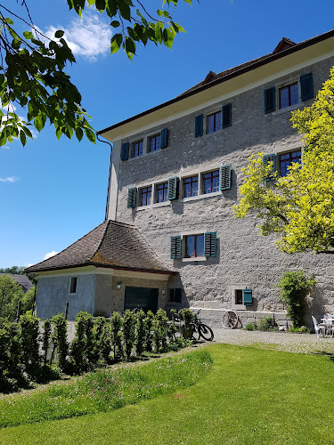 Rezensionen über Schloss Grüningen in Uster - Museum