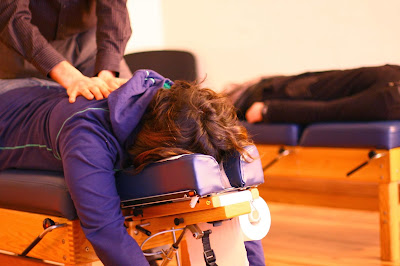 Centre Chiropractique Bien-Être et Santé. Dr Fabrice Bazot à Grenoble