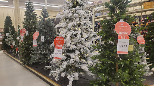 Craft Store «Hobby Lobby», reviews and photos, 5325 William D Tate Ave, Grapevine, TX 76051, USA