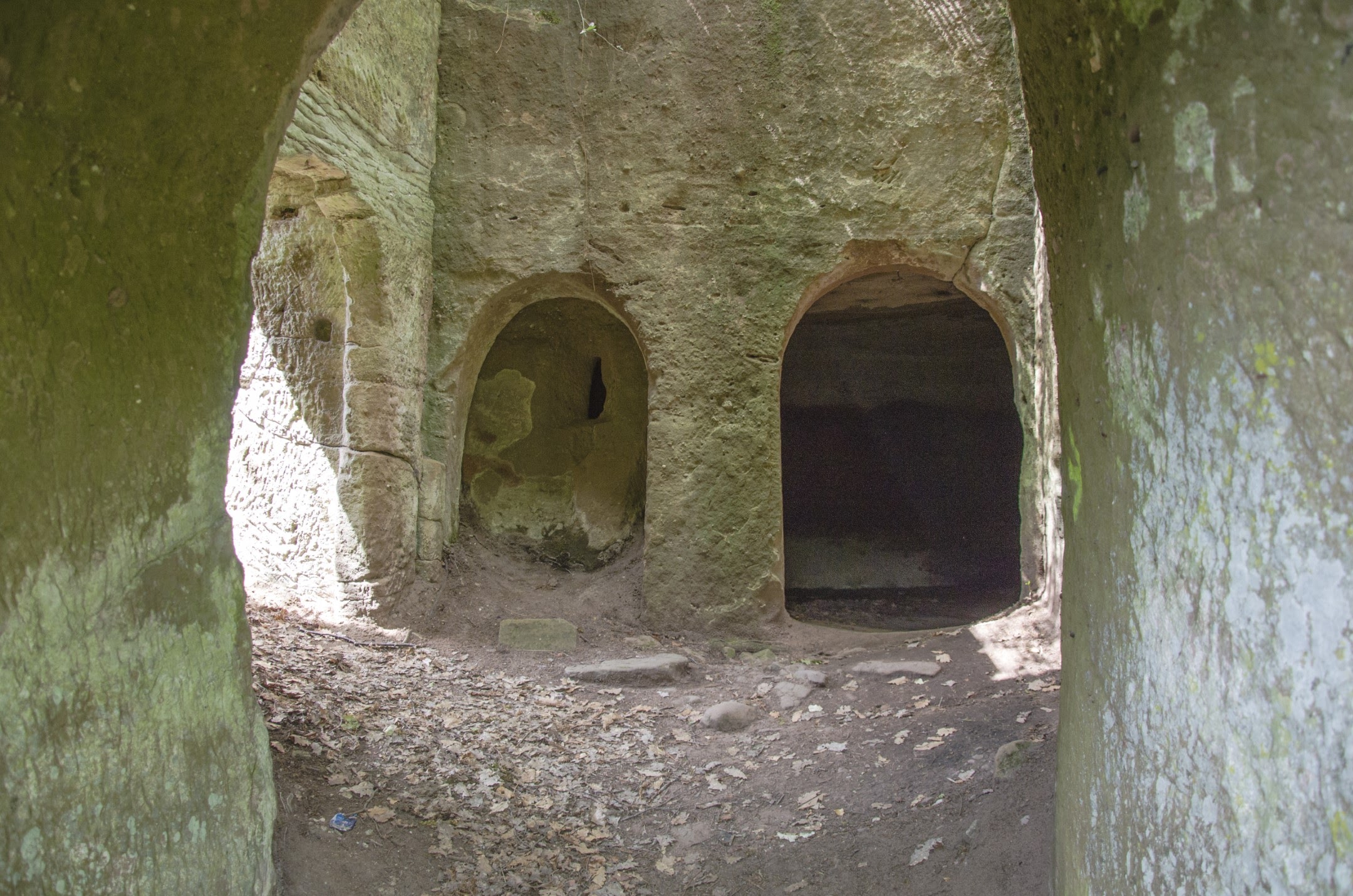 Photo n° 3 de l'avis de Nikkö. fait le 21/05/2020 à 06:32