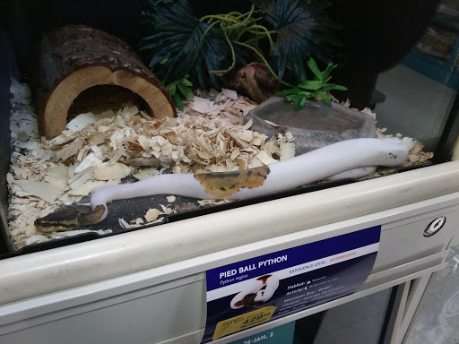 Pet Supply Store «PetSmart», reviews and photos, 650 Elsinger Blvd, Conway, AR 72032, USA