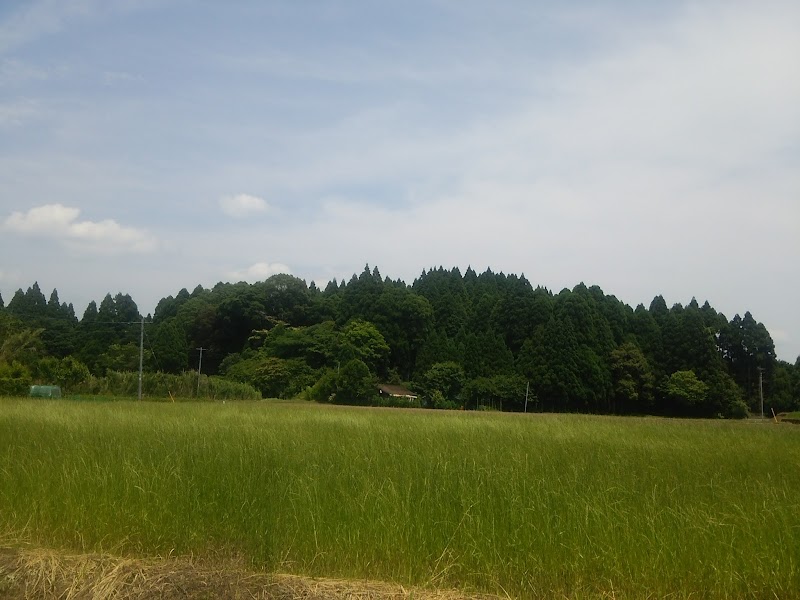 野首城