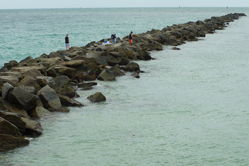 Park «Lummus Park», reviews and photos, Ocean Dr, Miami Beach, FL 33139, USA