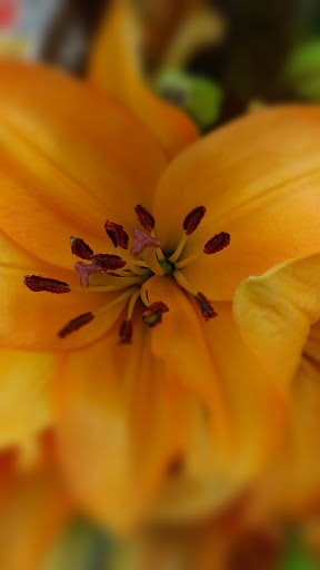 Supermarket «Super Stop & Shop», reviews and photos, 290 Turnpike Rd, Westborough, MA 01581, USA