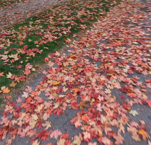 Market «Westville Quality Market», reviews and photos, 243 Alden Ave, New Haven, CT 06515, USA