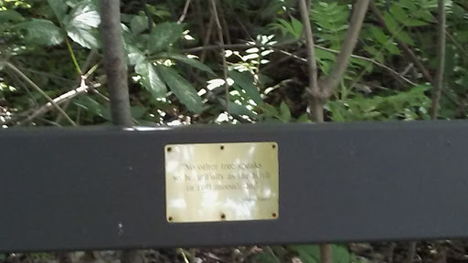 Park «Lake Front Park», reviews and photos, 23000 Jefferson Ave, St Clair Shores, MI 48080, USA