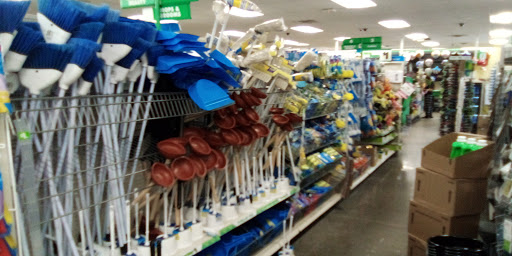 Dollar Store «Dollar Tree», reviews and photos, 399 E Broad St, Bridgeton, NJ 08302, USA