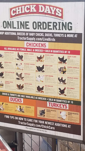 Home Improvement Store «Tractor Supply Co.», reviews and photos, 2423 N Lebanon St, Lebanon, IN 46052, USA