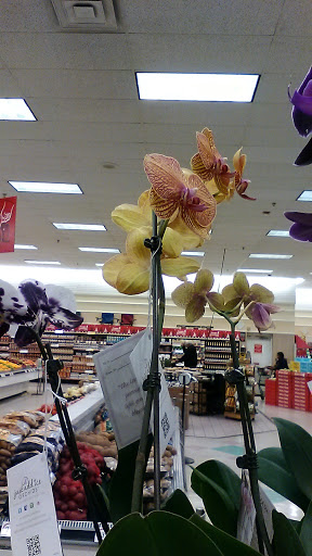 Grocery Store «Winn-Dixie», reviews and photos, 1952 W Dallas Ave, Selma, AL 36701, USA