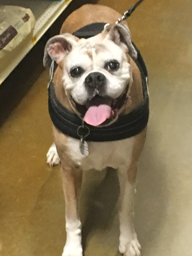 Pet Supply Store «PetSmart», reviews and photos, 6050 Peachtree Pkwy, Norcross, GA 30092, USA