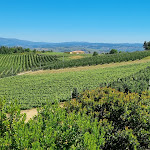 Photo n°11 de l'avis de Eusebio.i fait le 05/06/2021 à 08:26 sur le  Quinta da Barroca à Armamar