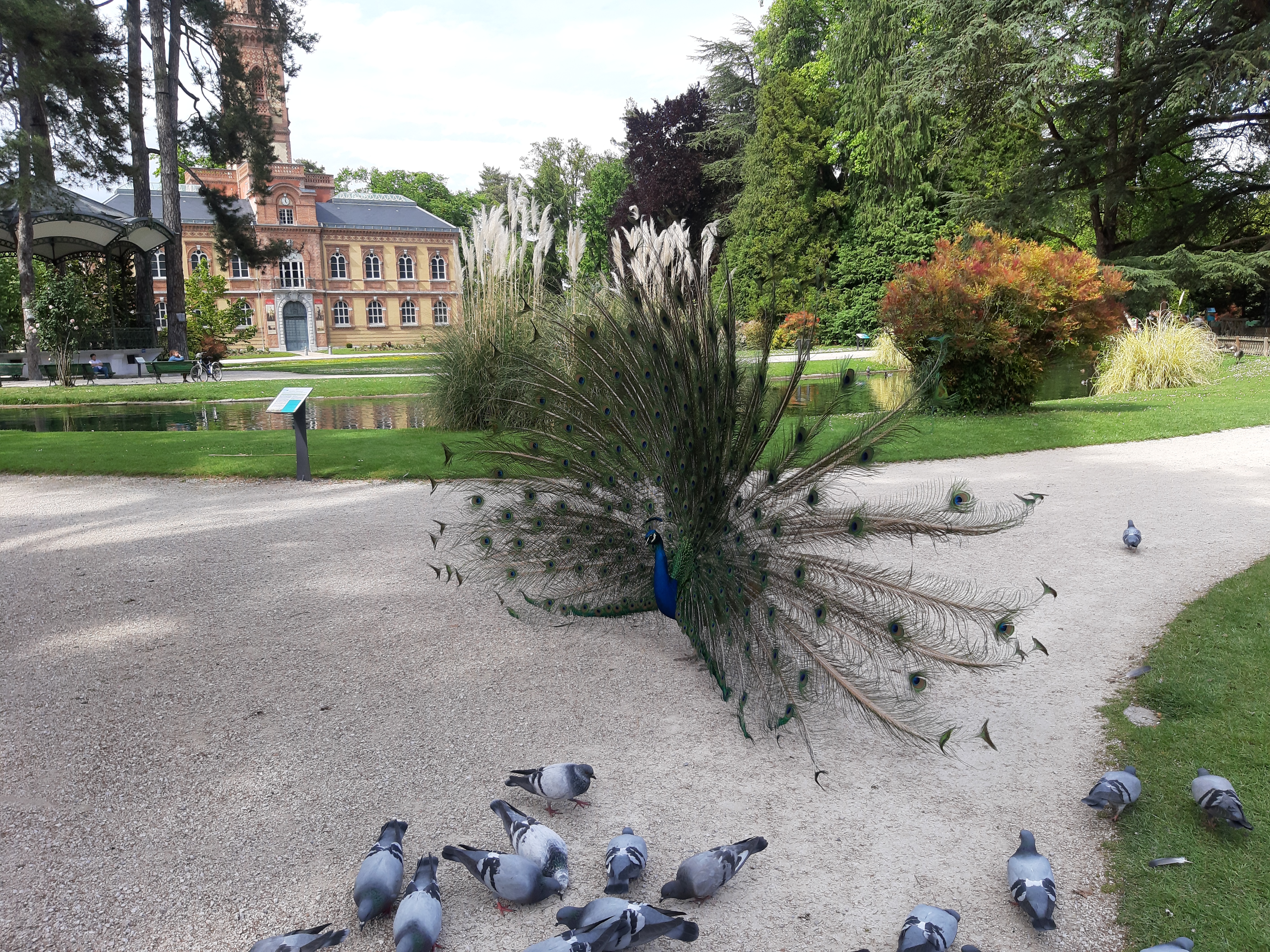 Photo n° 3 de l'avis de Alexandre.o fait le 30/04/2018 à 13:37