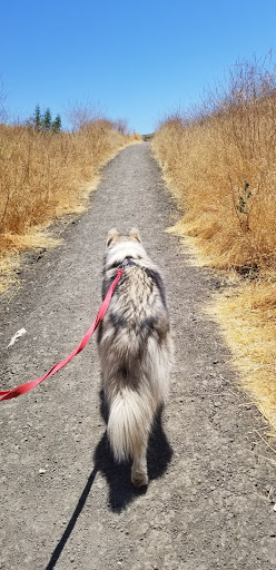 Pet Supply Store «Petco Animal Supplies», reviews and photos, 8800 Tampa Ave, Northridge, CA 91324, USA