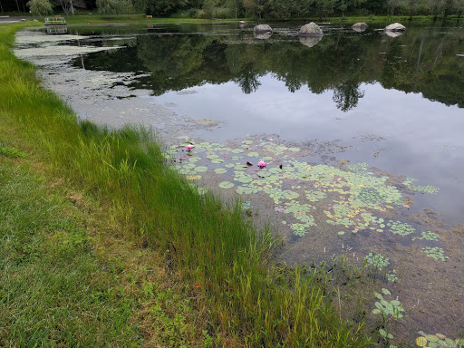 Park «Sterling Forest State Park», reviews and photos, Old Forge Rd, Tuxedo Park, NY 10987, USA