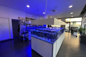 Biosphera aquarium shop image