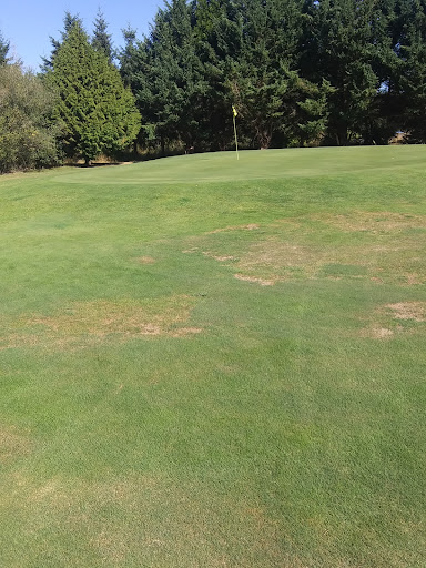 Golf Course «Hartwood Golf Course», reviews and photos, 12506 NE 152nd Ave, Brush Prairie, WA 98606, USA