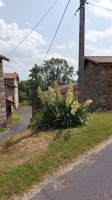 Pont de la Guerilie ouest à La Renaudie