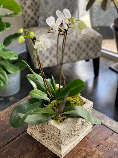 Florist «Botany Bay Florist», reviews and photos, 6068 Roswell Rd, Sandy Springs, GA 30328, USA