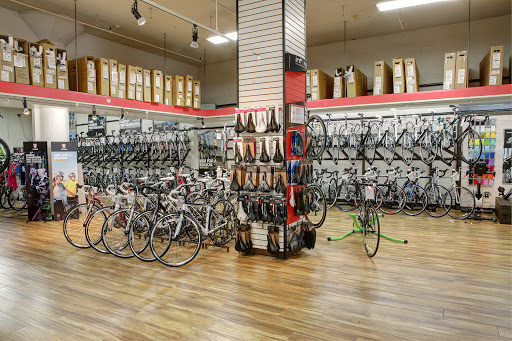 Used bicycle shop Hayward